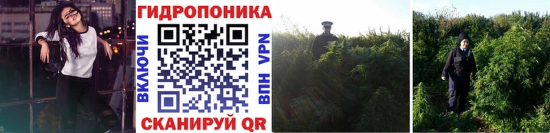 Хочу наркоту Артёмовский A PVP  Галлюциногенные грибы  МЕФ  Гашиш  Кокаин 