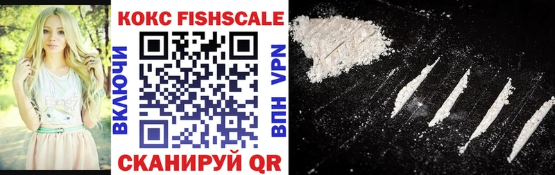 Cocaine Fish Scale  мега   Артёмовский 